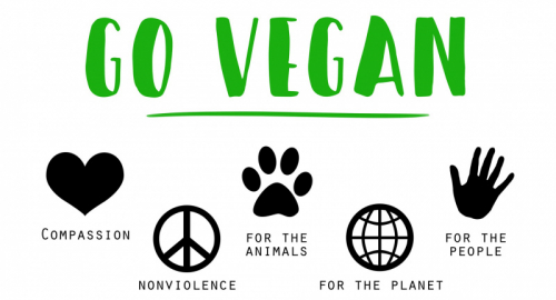 Veganismo: Una filosofia di vita completa che abbraccia alimentazione, abbigliamento, investimenti etici e scelte sostenibili